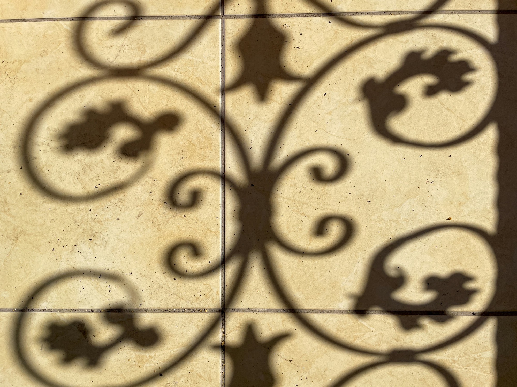 The shadow of iron scrollwork thrown across a sunlit wall